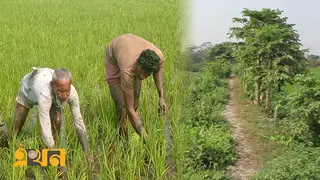 তিন কিলোমিটারের বাঁধই যে অঞ্চলকে পাল্টিয়ে দিয়েছে